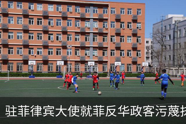 驻菲律宾大使就菲反华政客污蔑抹黑中方言论向菲外长提出严正交涉